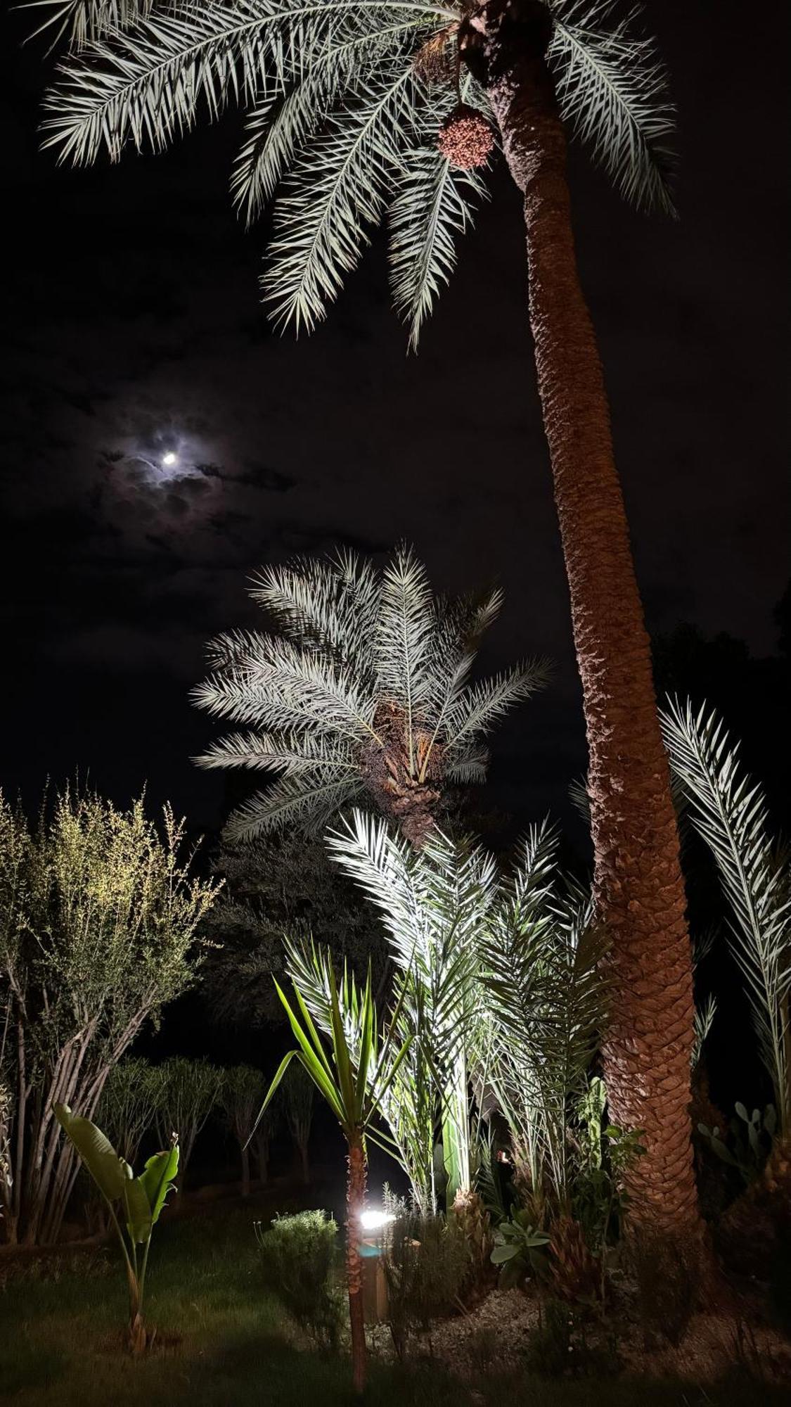 Tres Joli Appart A La Palmeraie Coup De Coeur Marrakesh Extérieur photo