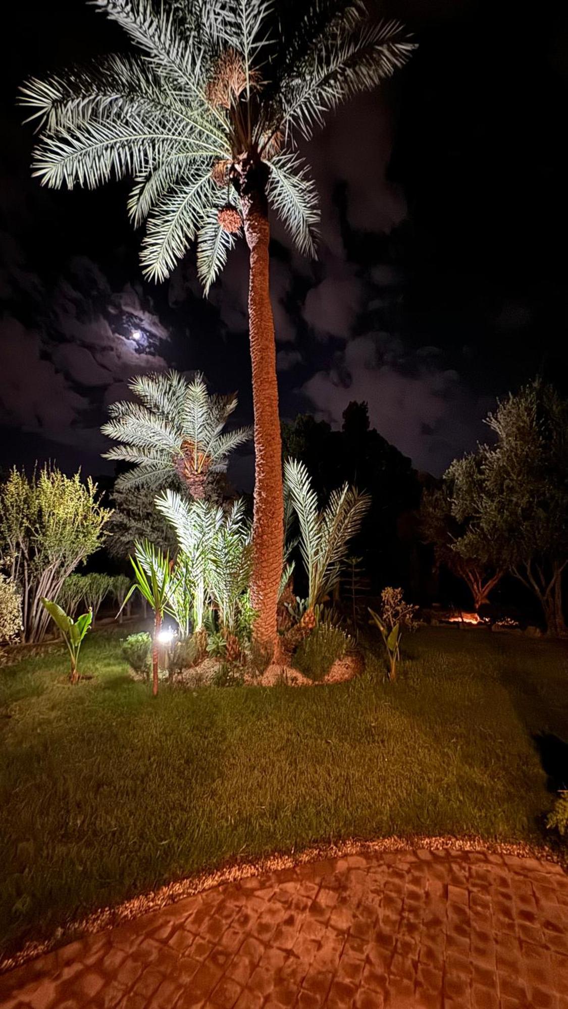 Tres Joli Appart A La Palmeraie Coup De Coeur Marrakesh Extérieur photo